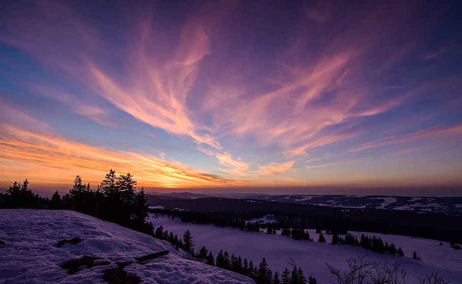 sunset, sky, trees, forest, winter, snow, landscape, evening HD wallpaper