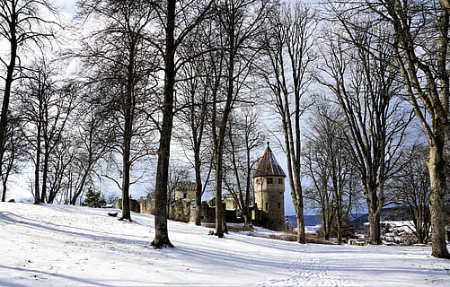 winter, snow, tree, wood, frost, architecture, old, gothic HD wallpaper