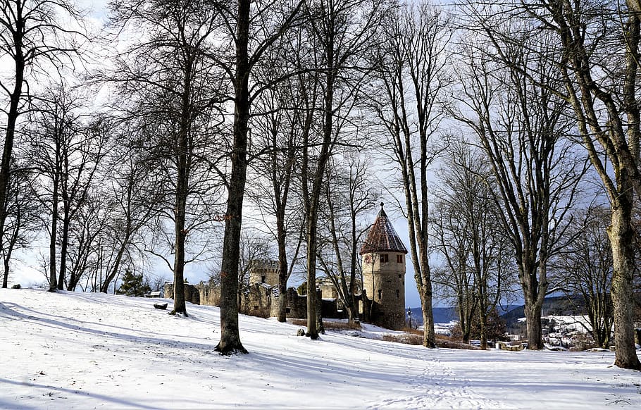 winter, snow, tree, wood, frost, architecture, old, gothic HD wallpaper
