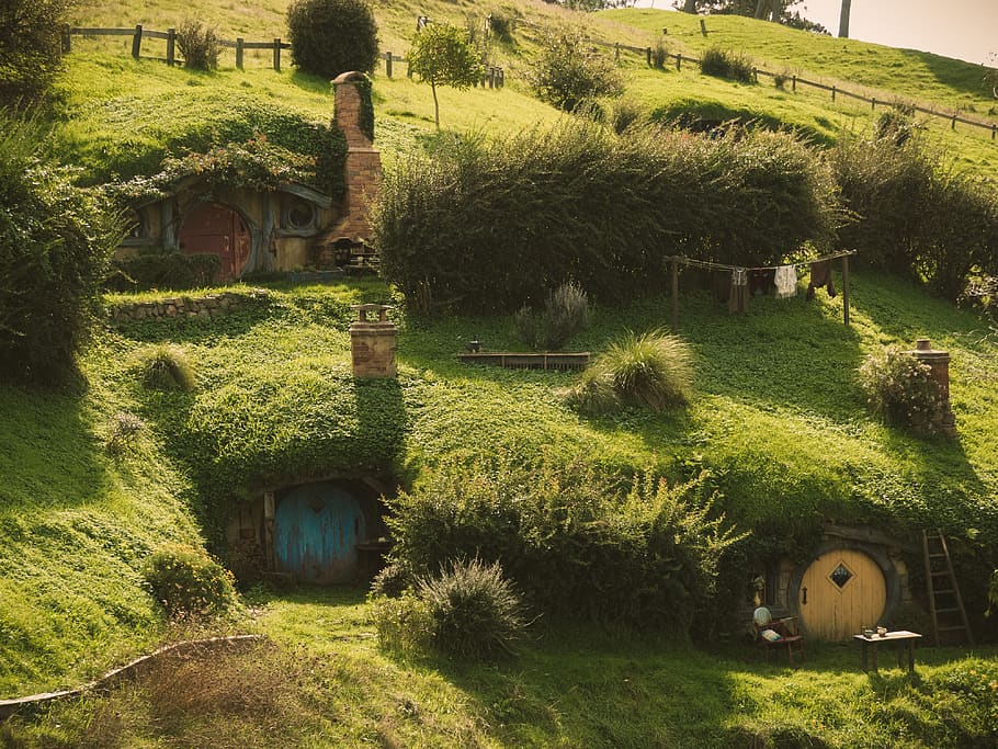 new zealand, grass, hobbit, movie set, shire, middle earth