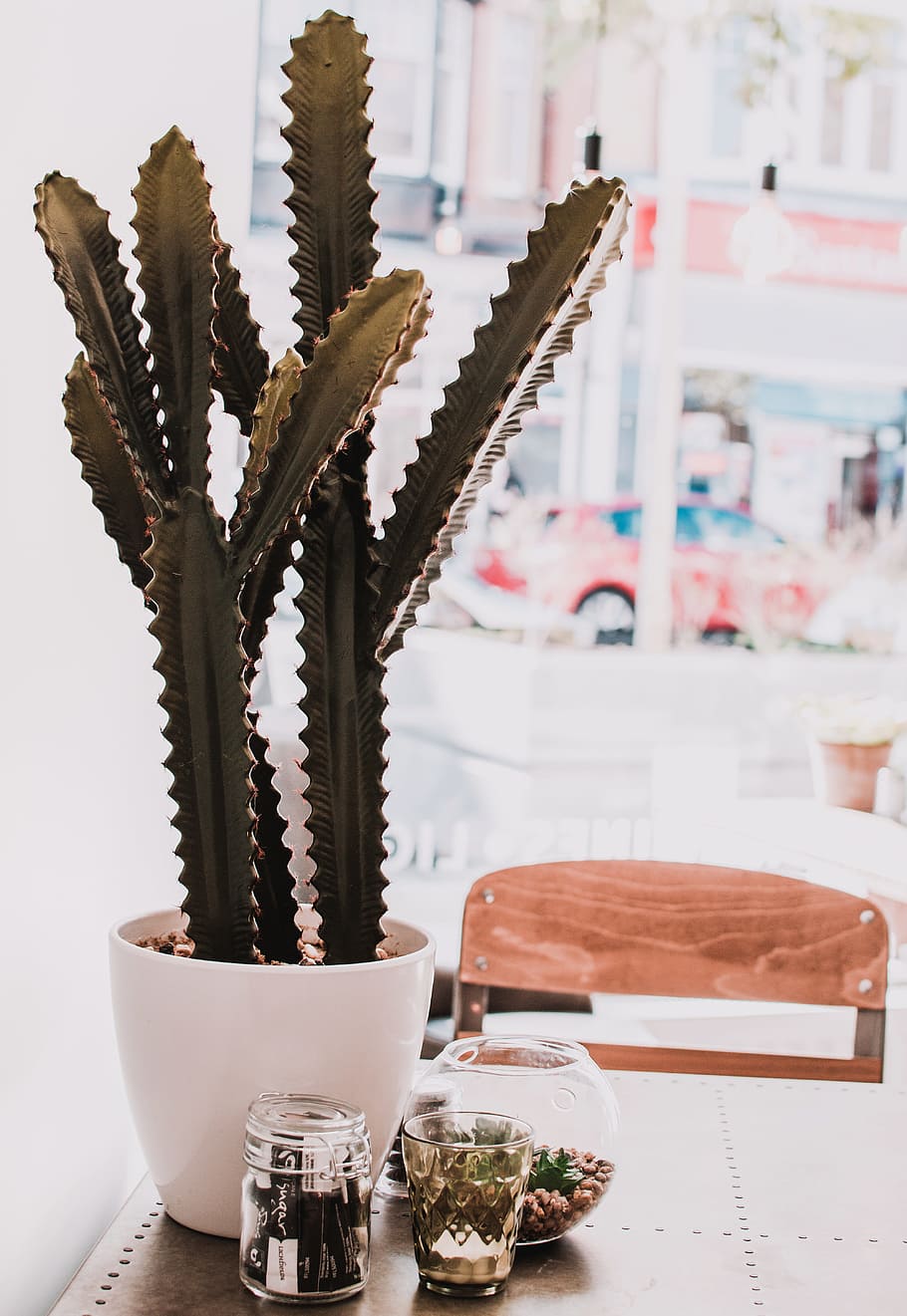Green Cactus in Pot, breakfast, café, chocolate, coffee, cup HD wallpaper