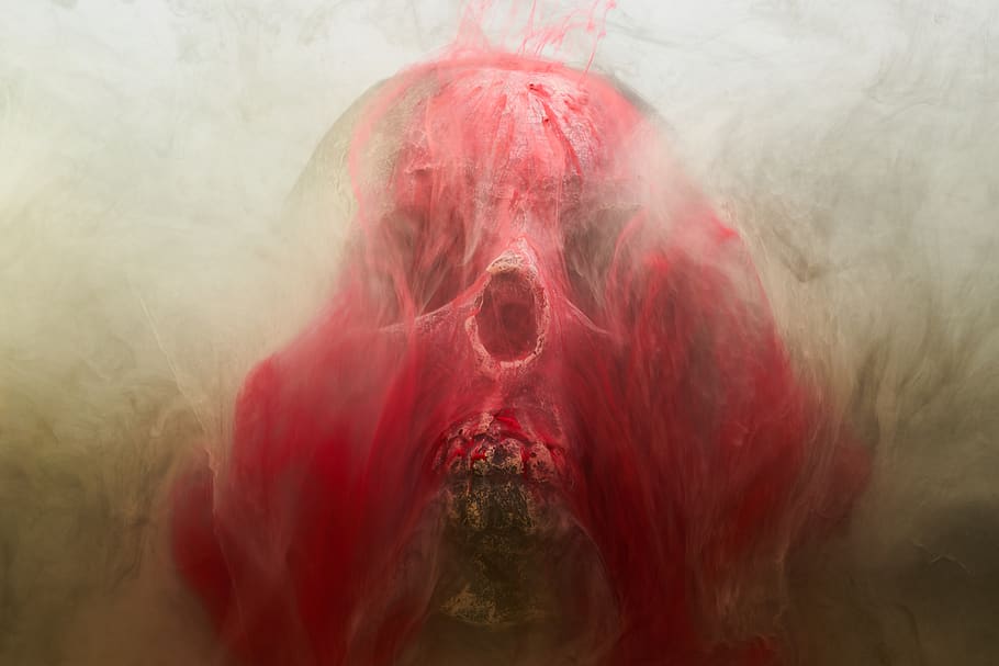 red, skull, dry head, skeleton, dead, death, bone, dark, bones HD wallpaper
