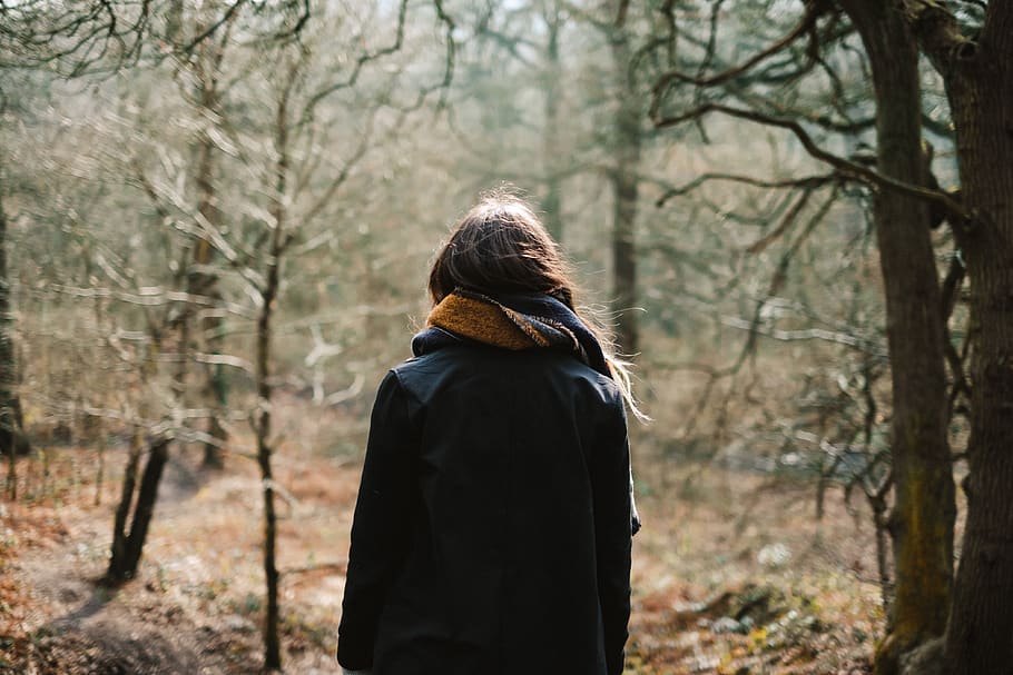 trees, plant, branch, forest, outdoor, nature, people, girl HD wallpaper