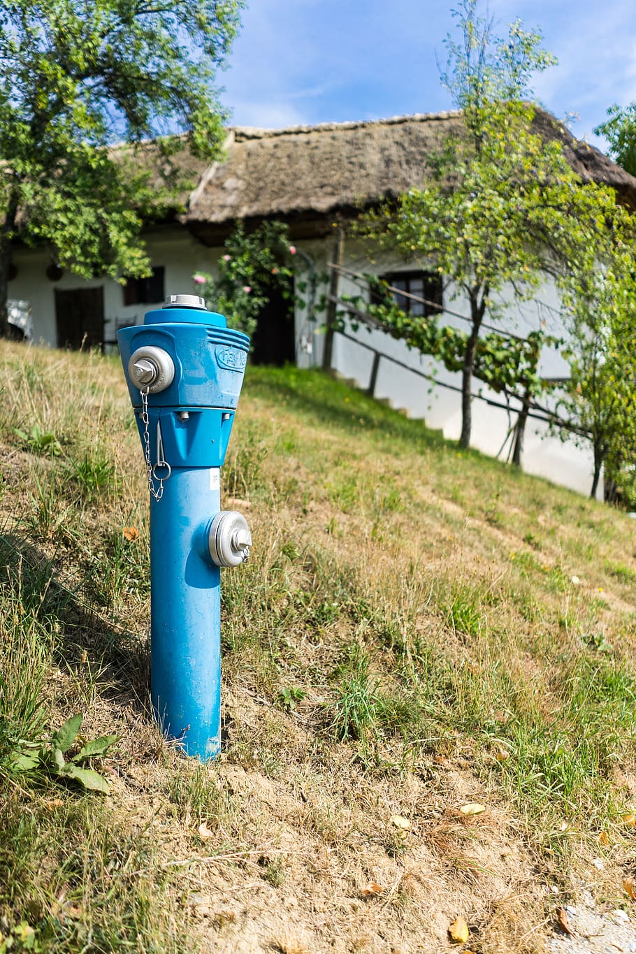 austria, heiligenbrunn, blue, hydrant, fire hydrant, grass HD wallpaper
