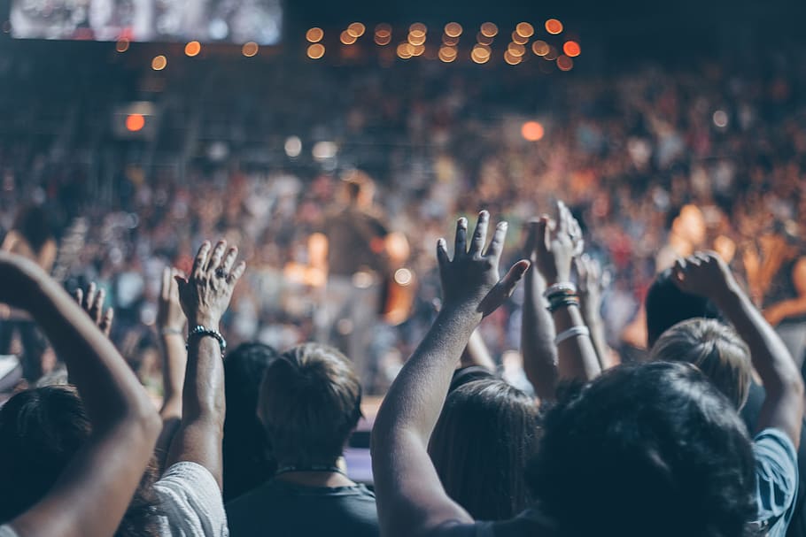 Group of People Raise Their Hands on Stadium, audience, blur, HD wallpaper