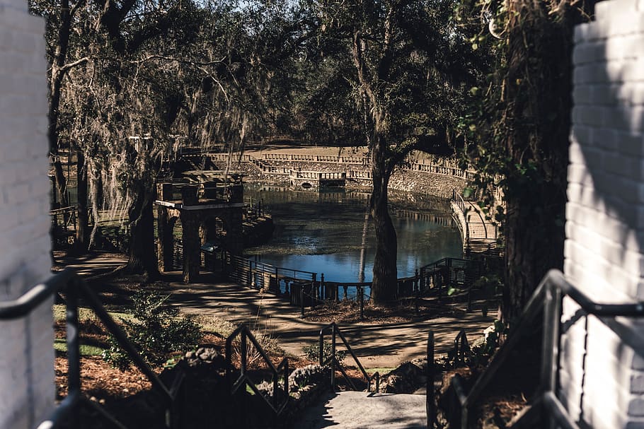 lake during daytime, tree, built structure, architecture, plant HD wallpaper