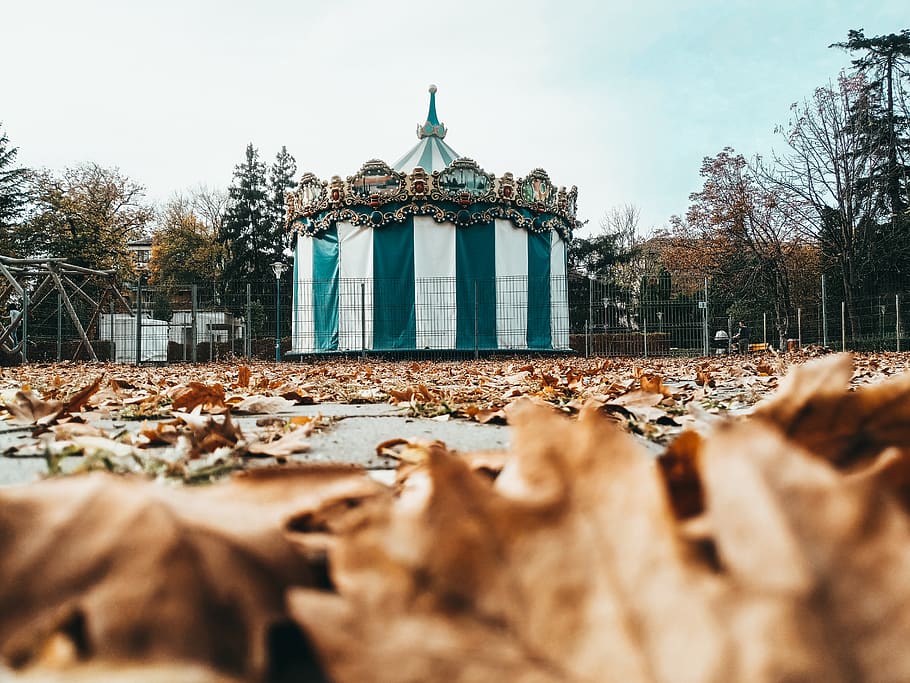 Brown Leaves on Floor, blur, circus, daylight, park, season, tent HD wallpaper