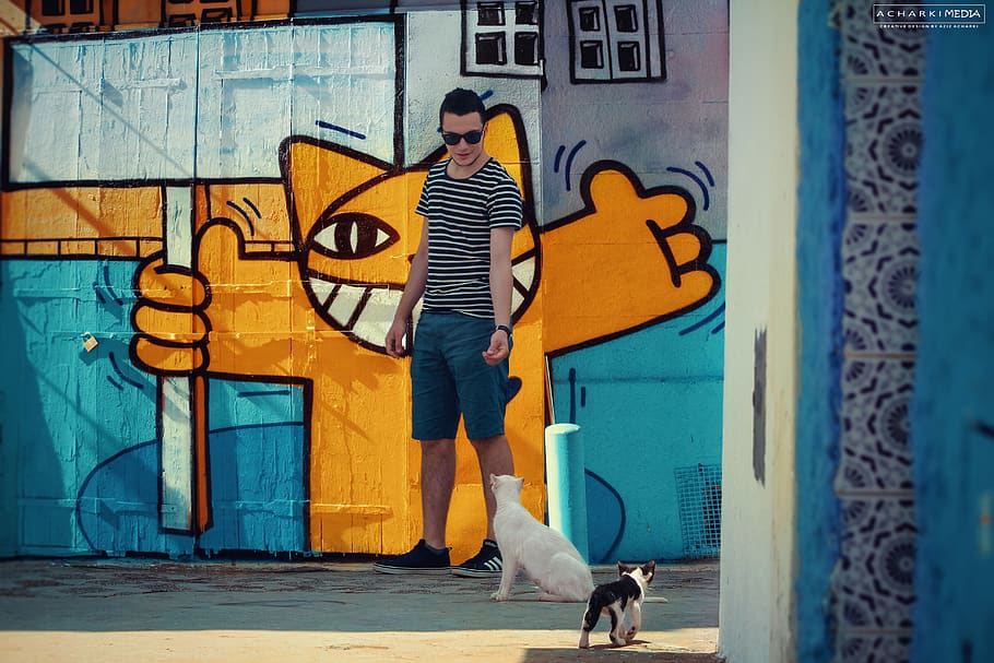 cat, hello, urban, street photography, color, model, boy, cute, HD wallpaper