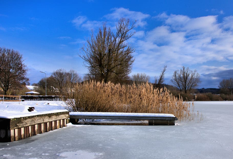 jetty, reed, sky, blue, clouds, wood, snow, lake, landscape HD wallpaper