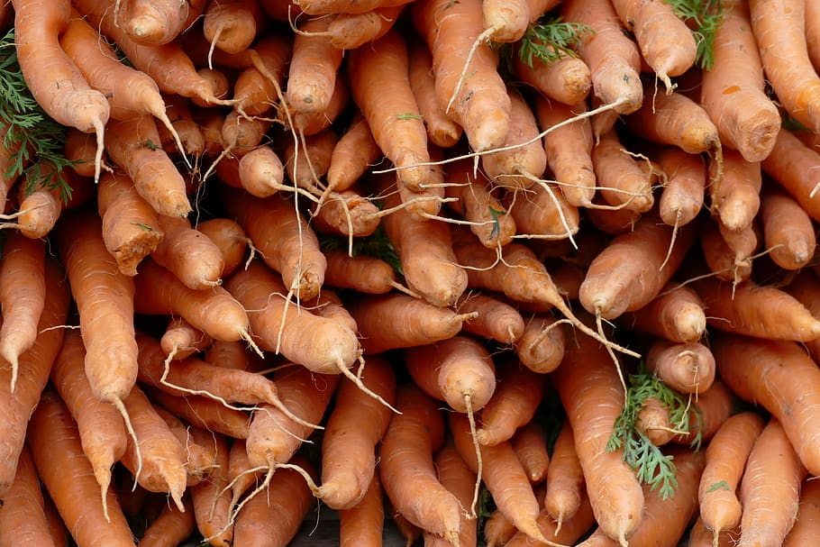 root, carrot, vegetable, food, agriculture, agricultural, food and drink HD wallpaper