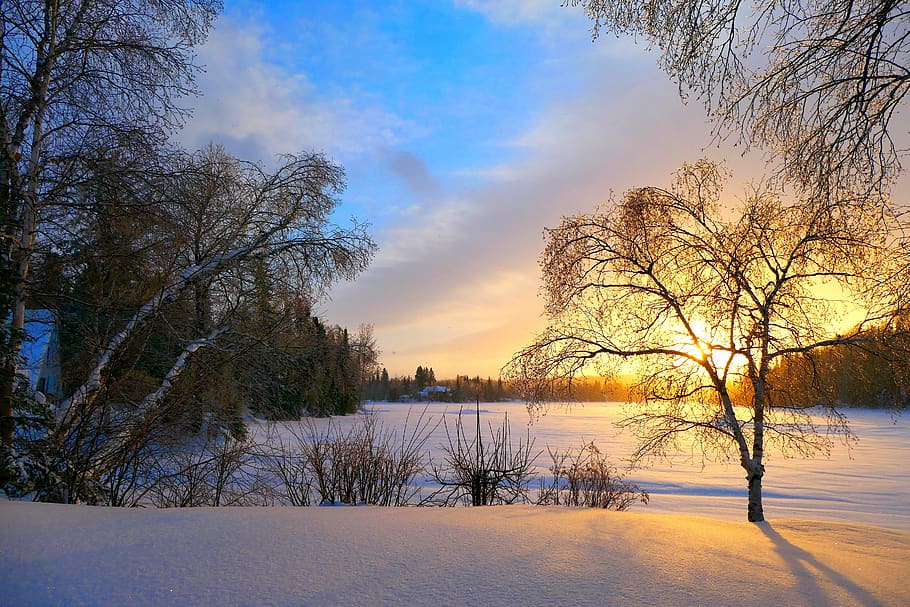 sunset, nature, landscape, twilight, winter, cold, gel, trees HD wallpaper