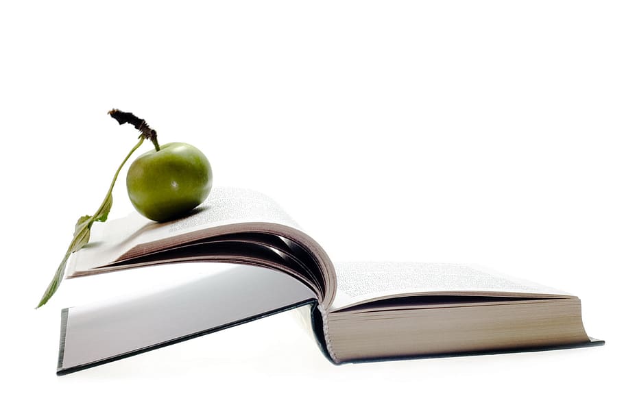 book, apple, learning, school, education, publication, fruit HD wallpaper