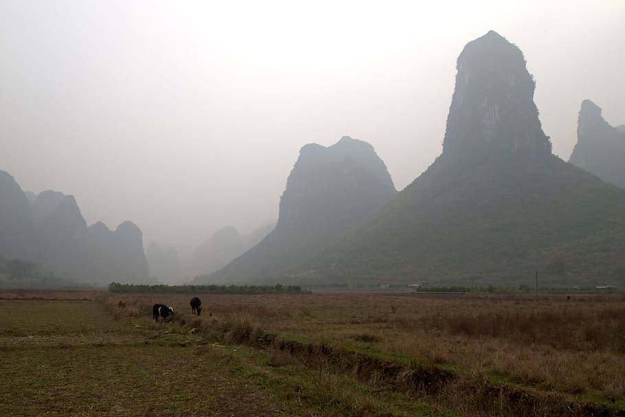 china, yangshuo, guilin, fog, kasts, mistery, mountains, nature, HD wallpaper
