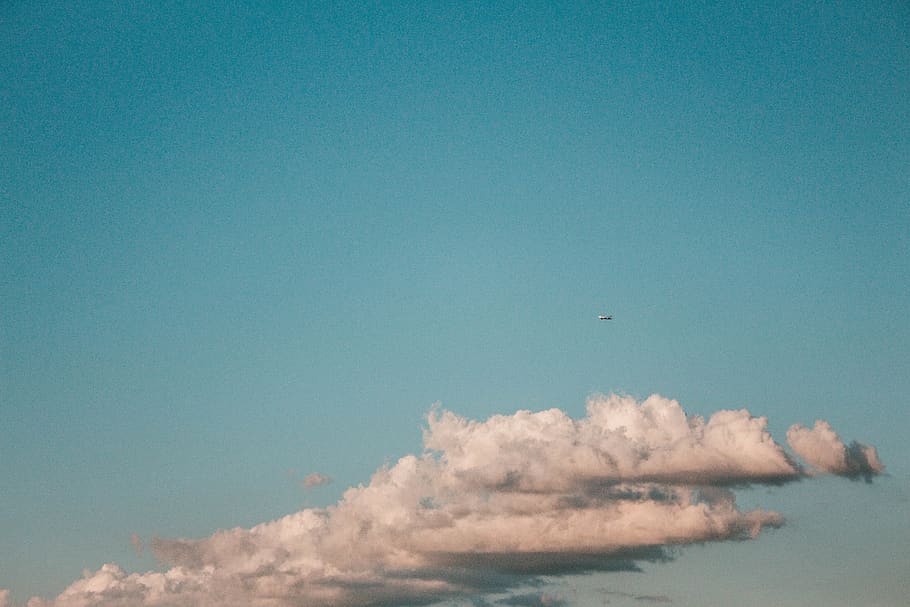 cumulus clouds, sky, flying, copy space, blue, bird, no people HD wallpaper