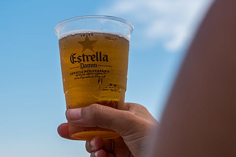 estrella beer fridge