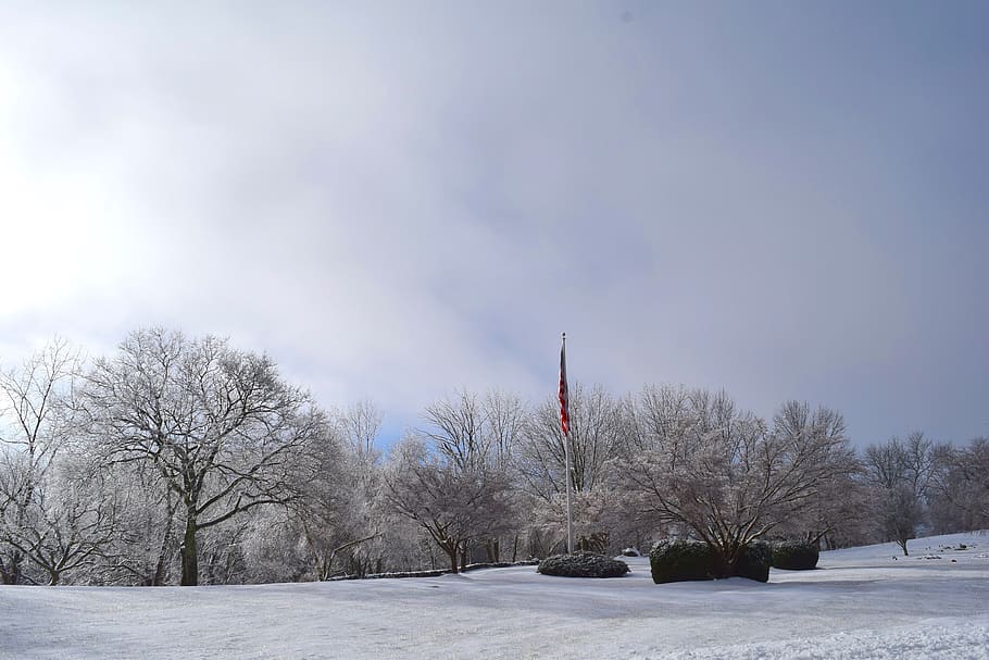 snow, winter, frost, park, trees, ice, cold, nature, bush, flag, HD wallpaper