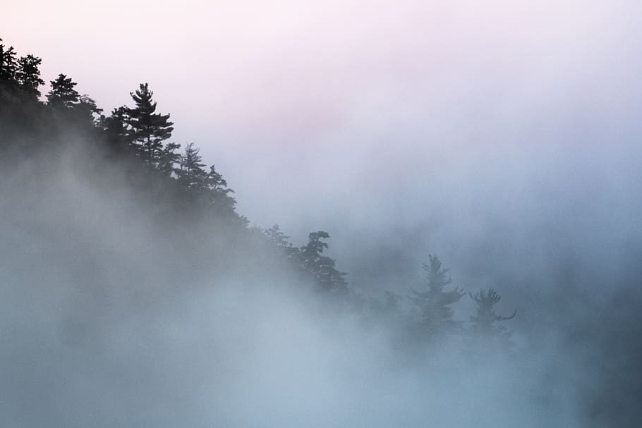 mountain with fog, weather, nature, grey, outdoors, mist, tree HD wallpaper