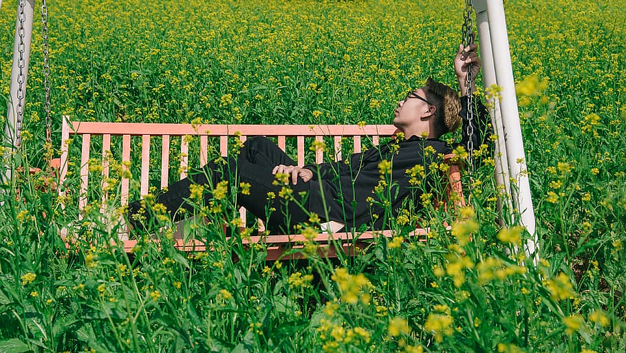 Man in White and Brown Canopy Swing Surrounded With Yellow Petal Flower HD wallpaper