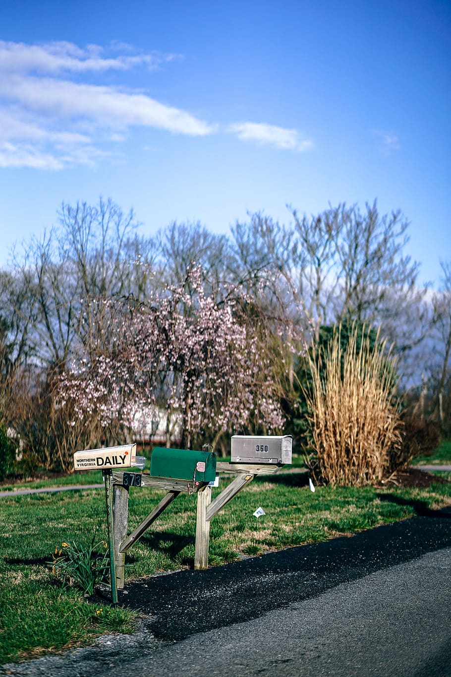 Mailboxes, plant, tree, sky, nature, day, growth, grass, cloud - sky HD wallpaper
