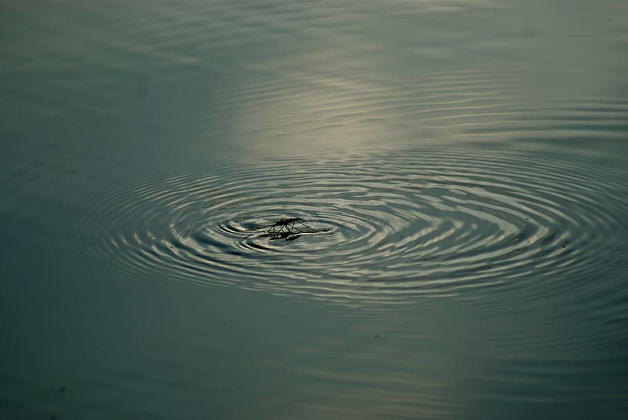 germany, frankfurt, rippled, water, no people, nature, lake HD wallpaper