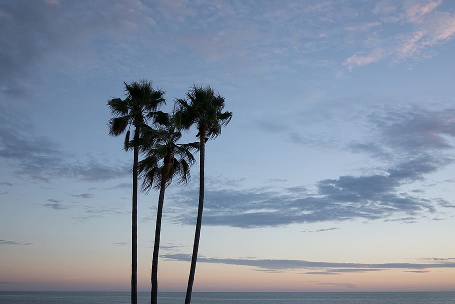 laguna-beach-united-states-heisler-park-pacific.jpg