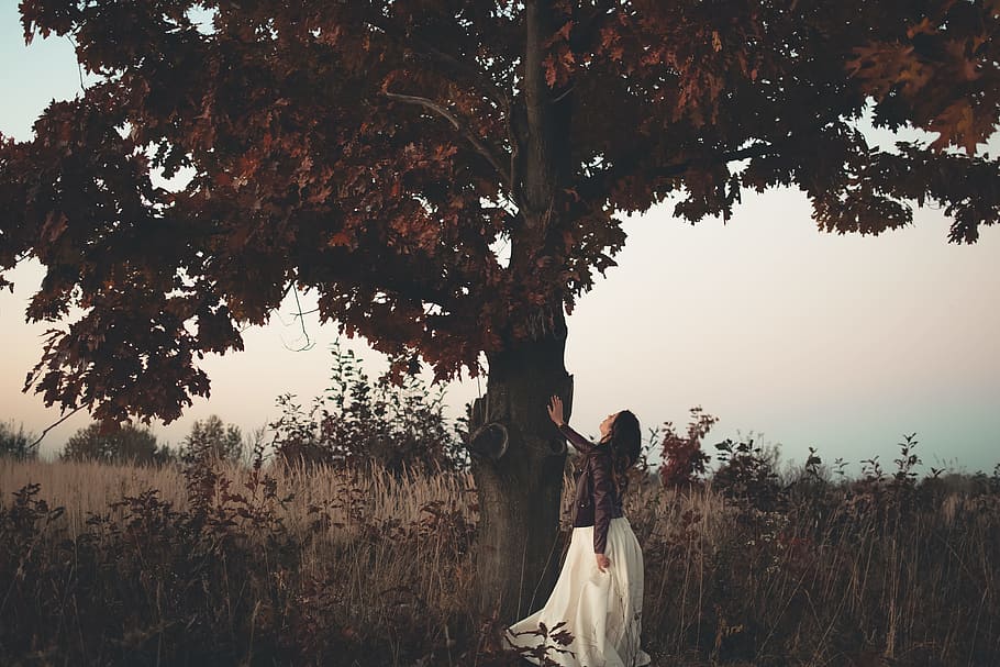 woman standing beside brown tree, female, tree landscape, filed, HD wallpaper