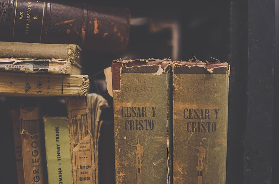 uruguay, montevideo, reading, books, old books, bookshop, library HD wallpaper