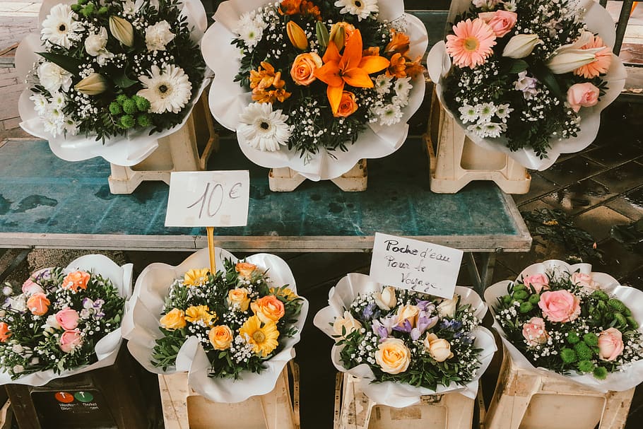assorted flower bouquets, freshness, flowering plant, variation HD wallpaper