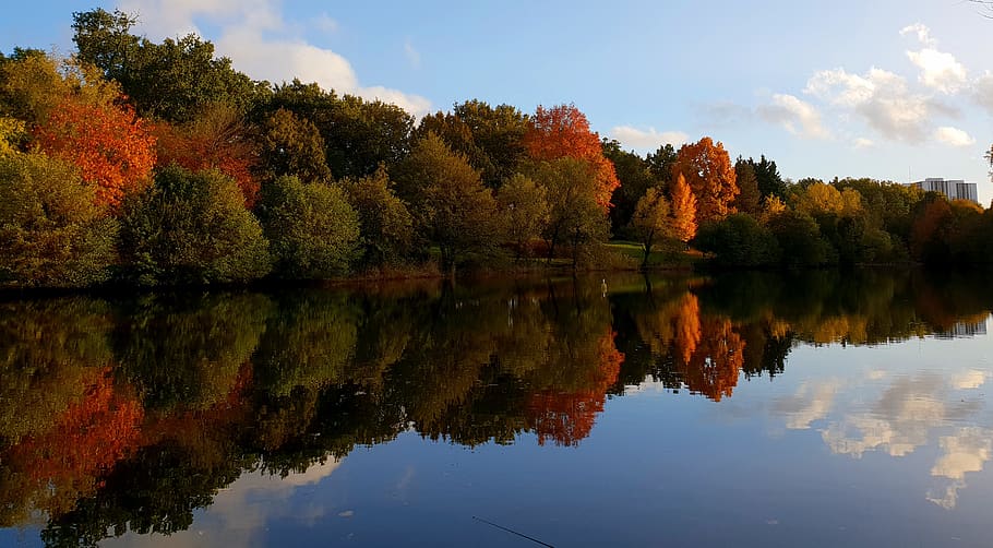autumn, red, orange, green, lake, river, reflection, tree, trees HD wallpaper