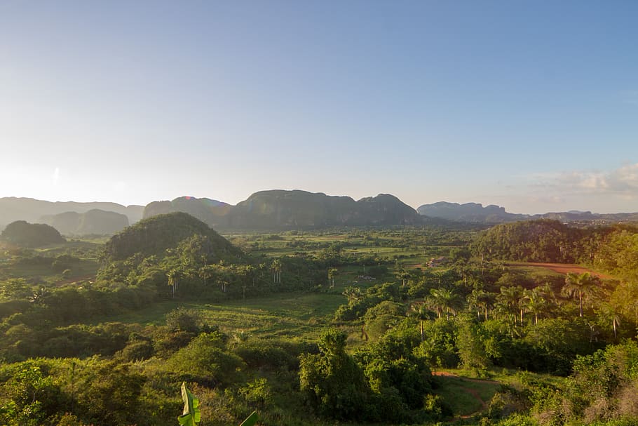 cuba, vinales, nature, trees, national park, sunset, lens flare HD wallpaper