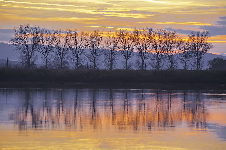 water, tree, reflection, sunset, scenics - nature, tranquil scene HD wallpaper
