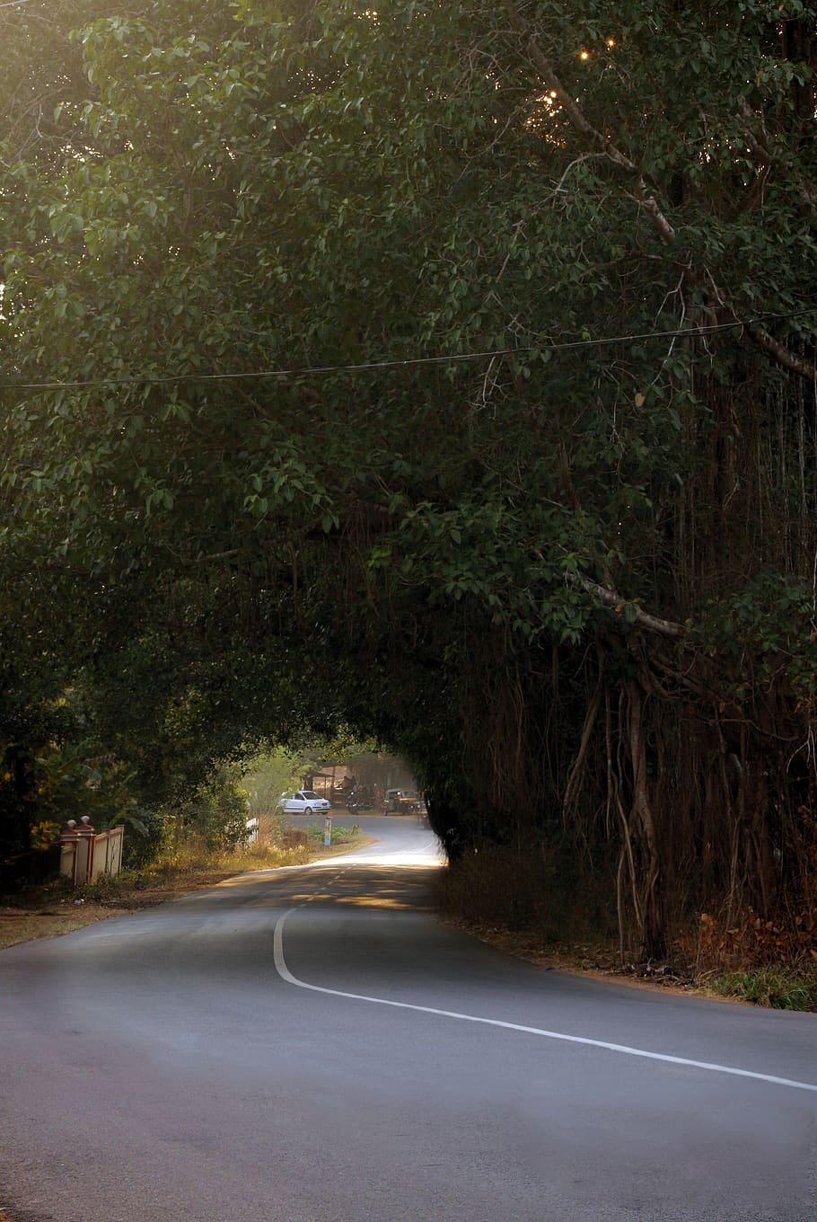 road, kerala road, landscape, tree, way, travel, outdoor, nature, HD wallpaper