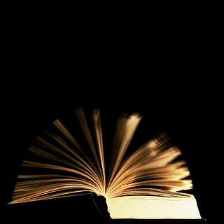 fly, learn, blue, book, literature, graduation, page, move HD wallpaper