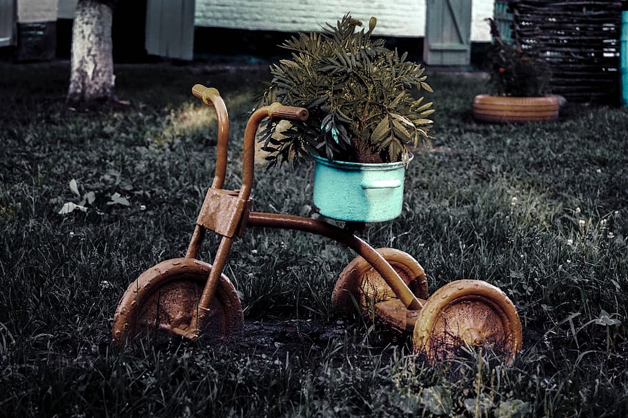 bicycle, flowers, summer, plant, growth, front or back yard HD wallpaper