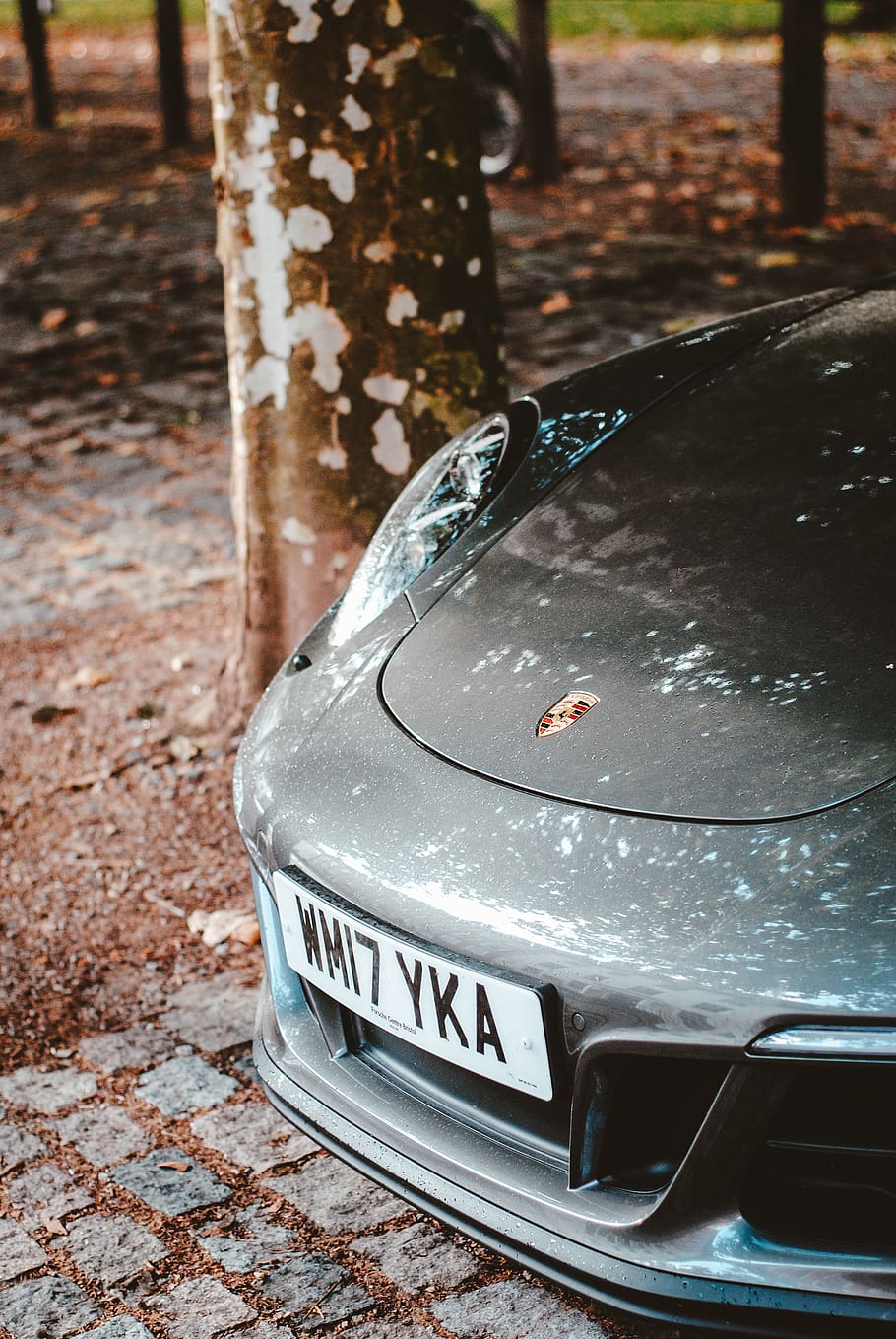 Porsche car under the tree, motor vehicle, land vehicle, text HD wallpaper
