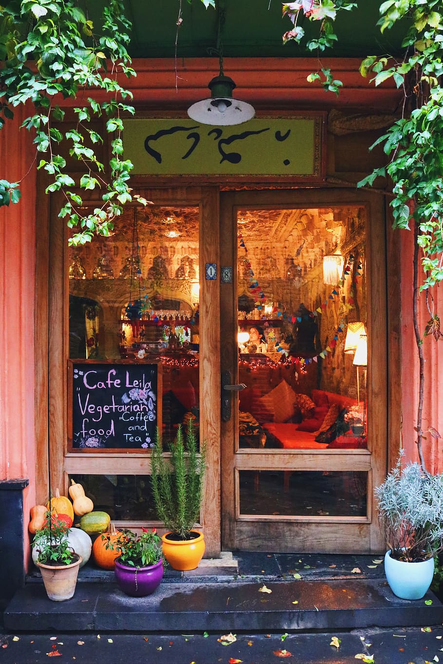 room with turned on lights, georgia, tbilisi, shop, plant, cafe HD wallpaper