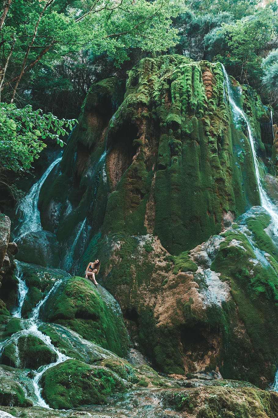 green mountain, rainforest, flora, land, nature, vegetation, tree HD wallpaper
