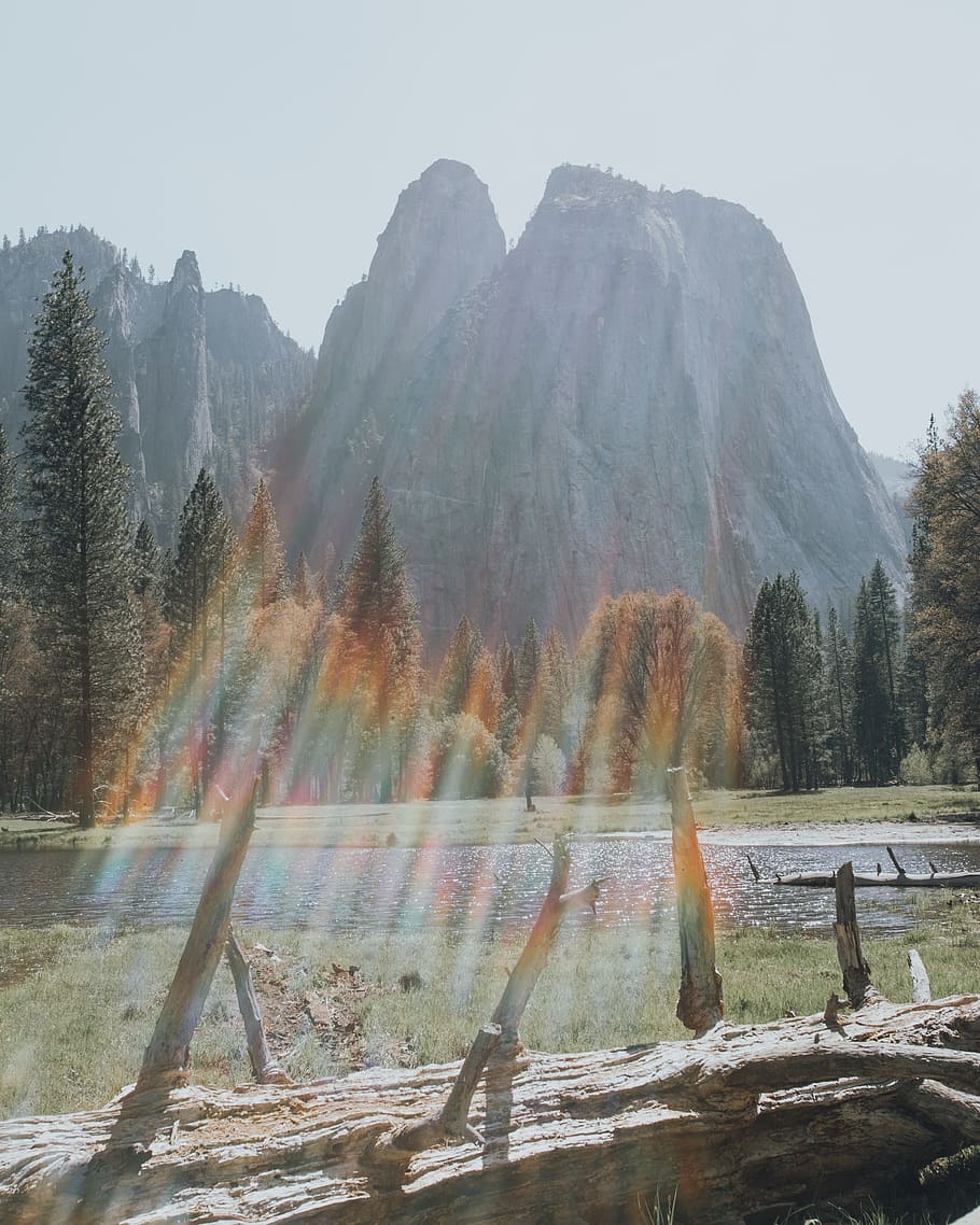 trees beside mountain, yosemite, forest, river, stream, flare HD wallpaper