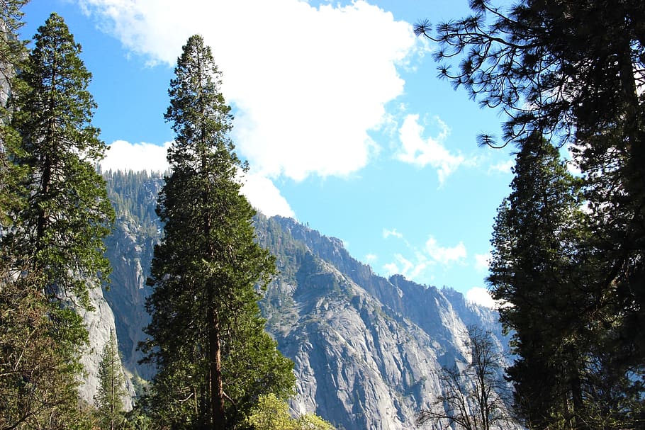 mountains, landscape, valley, tree, plant, beauty in nature HD wallpaper