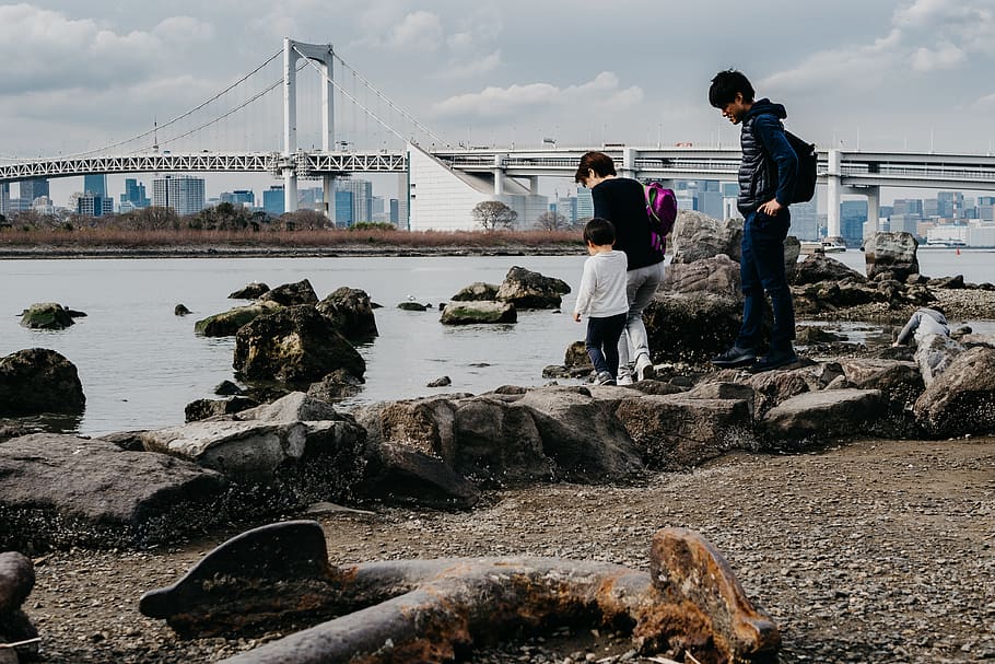 japan, odaiba, ocean, bridge, harbour, tokyo, tokio, island, HD wallpaper
