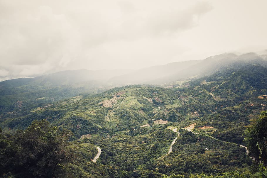 dalat, vietnam, cloud, road, travel, trees, mountain, scenics - nature, HD wallpaper