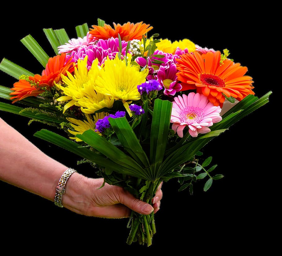 spring, fresh, flower, nature, fragrance, garden, blooming HD wallpaper
