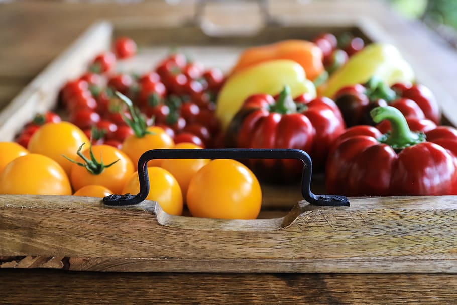 vegetables, pepper, tomatoes, garden, food, healthy, kitchen HD wallpaper