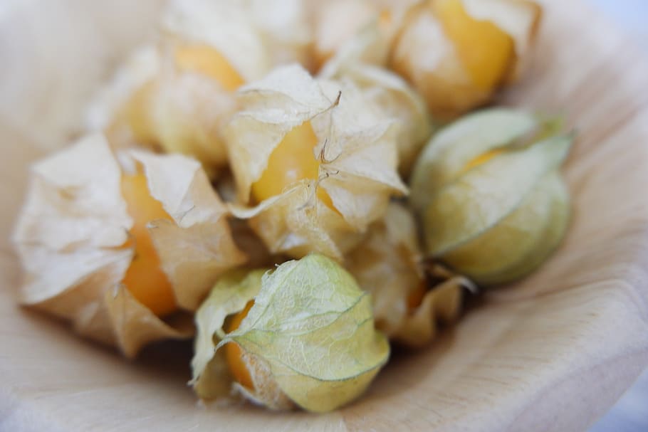cape goose berries, unsteadily, french, golden bell, cape gooseberry