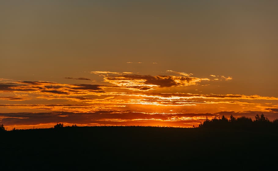 sky, trees, nature, sunset, hd wallpapers, evening, walk, atmospheric evening HD wallpaper