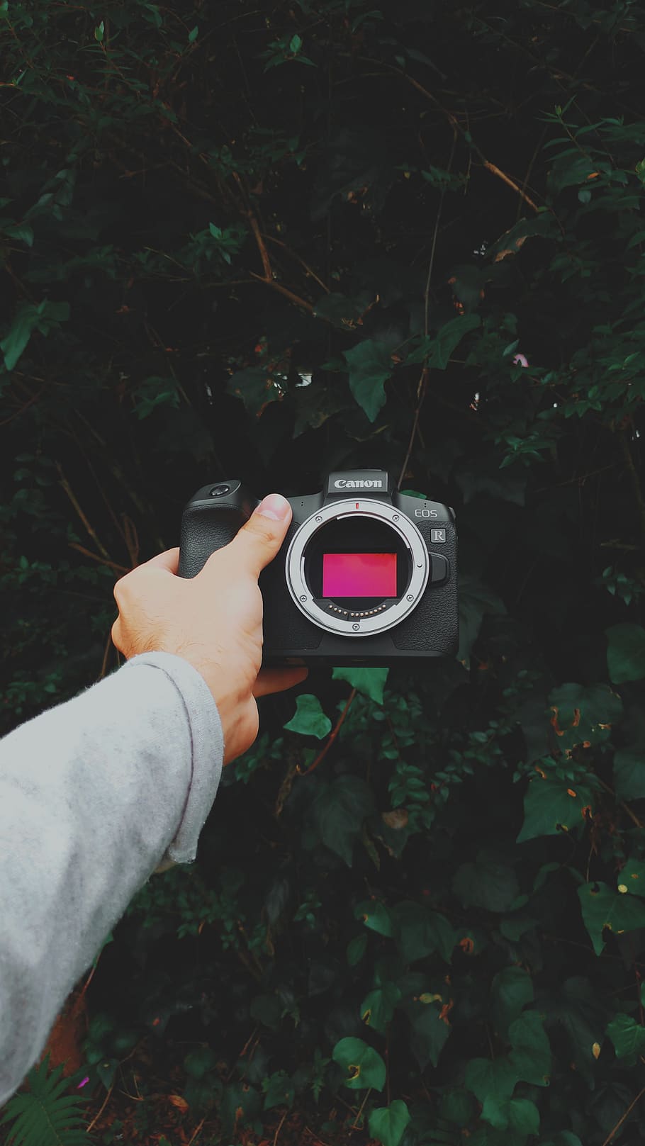 Black Canon Camera On Left Hand, human hand, real people, one person HD wallpaper