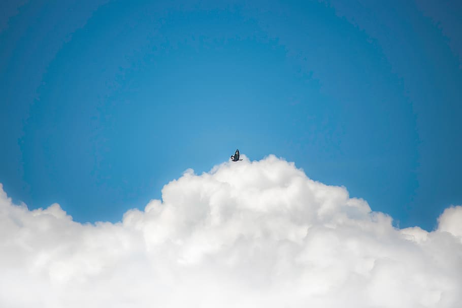 bird flying under blue cloudy sky, cloud - sky, low angle view HD wallpaper