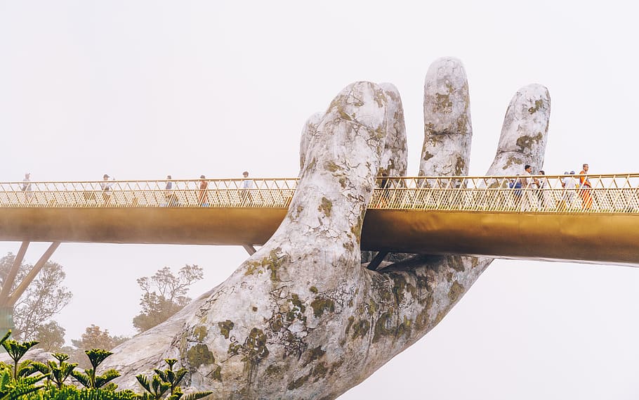 palm bridge, axe, tool, person, human, people, hills, fog, haze HD wallpaper