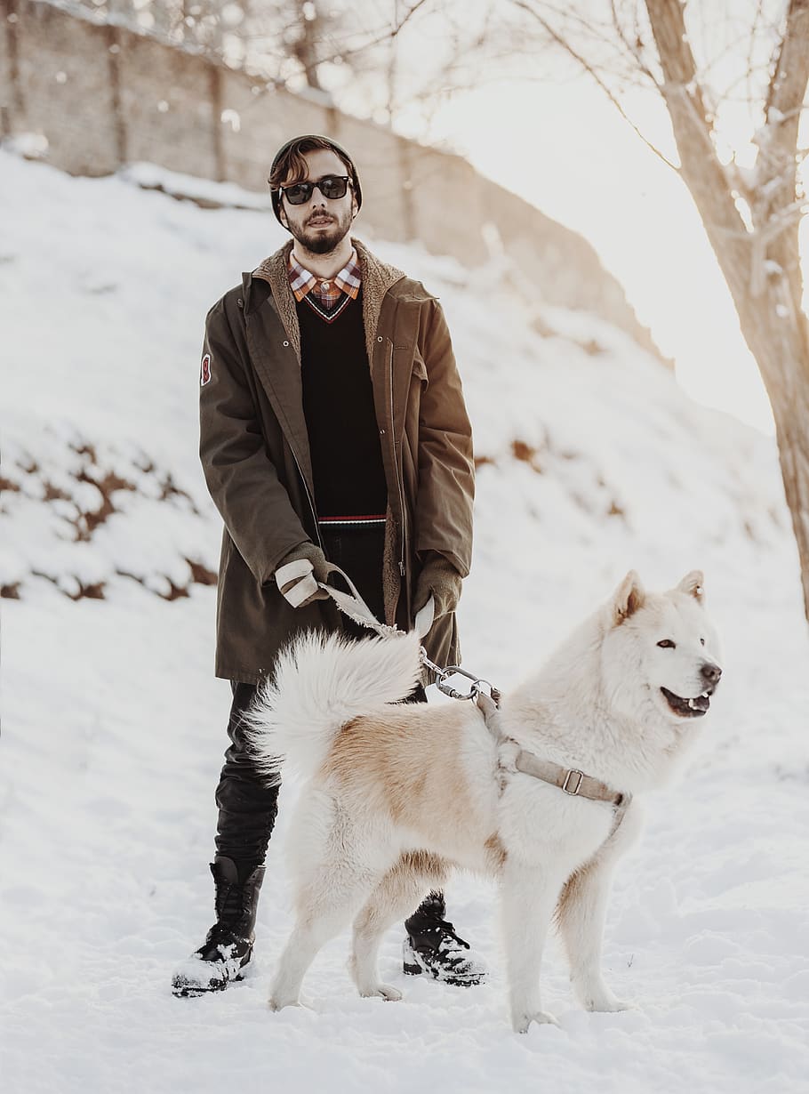 man holding white dog, winter, mammal, snow, animal themes, cold temperature HD wallpaper