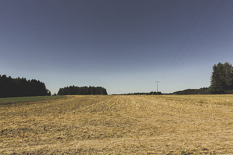 germany, marktleugast, hinterrehberg, combine, crop, cut, dust HD wallpaper